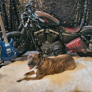 Meet your Posher, Kara